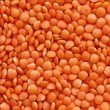 Masoor Dal 